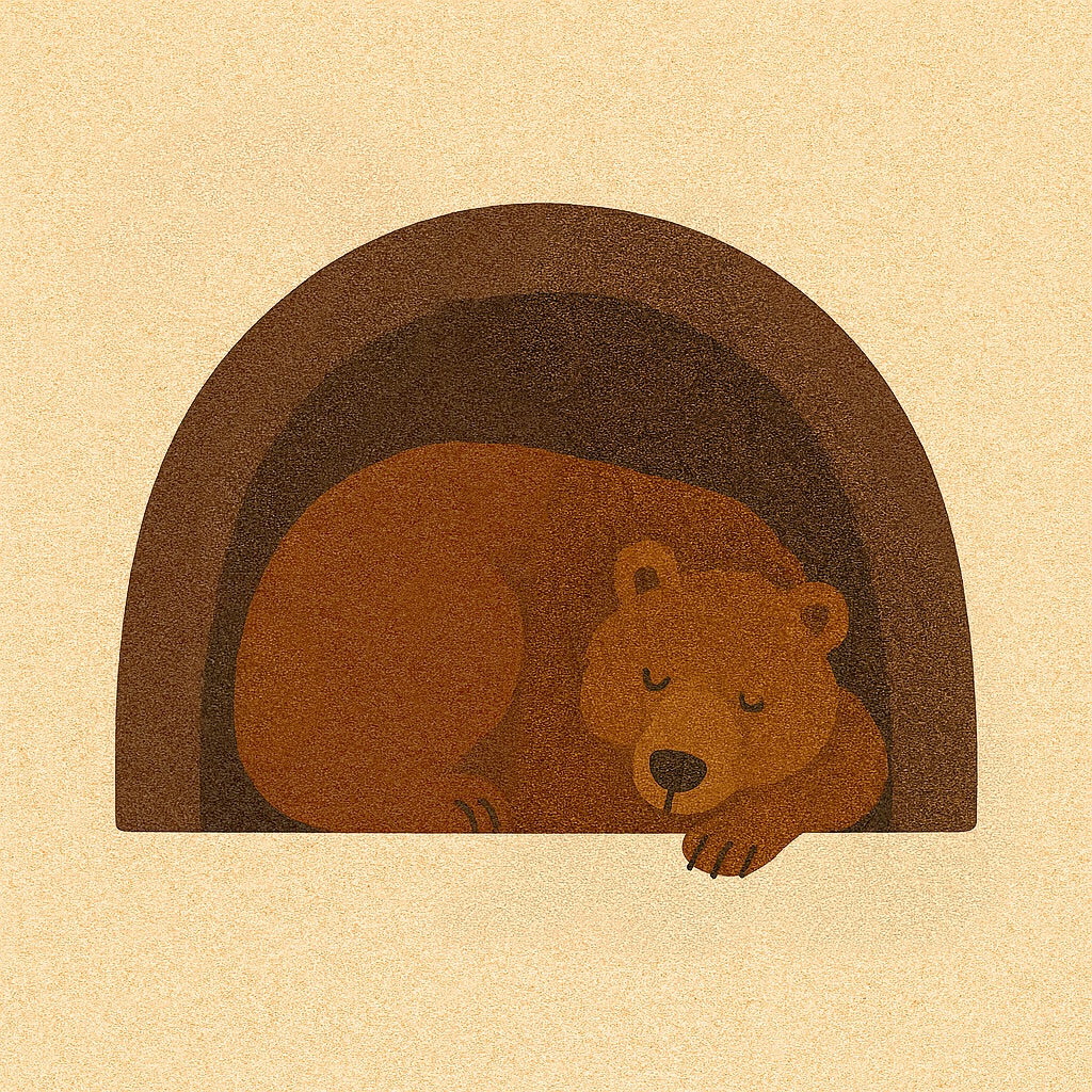 Why Bears Aren't Hibernating in Japan This Winter